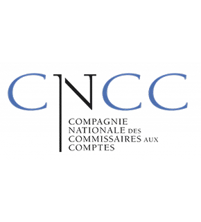 Logo ou sceau officiel de l'Ordre des commissaires aux comptes, présenté de manière claire et professionnelle, en harmonie visuelle avec le logo de l'Ordre des experts-comptables déjà utilisé dans la section. L'image doit être nette, lisible et favoriser une présentation équilibrée des deux certifications professionnelles.